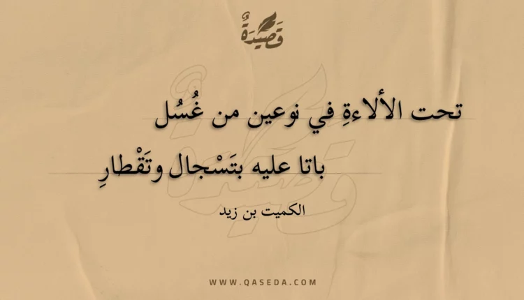 قصيدة تحت الألاءة في نوعين من غسل