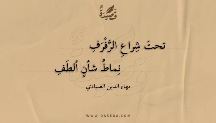 قصيدة تحت شراع الرفرف