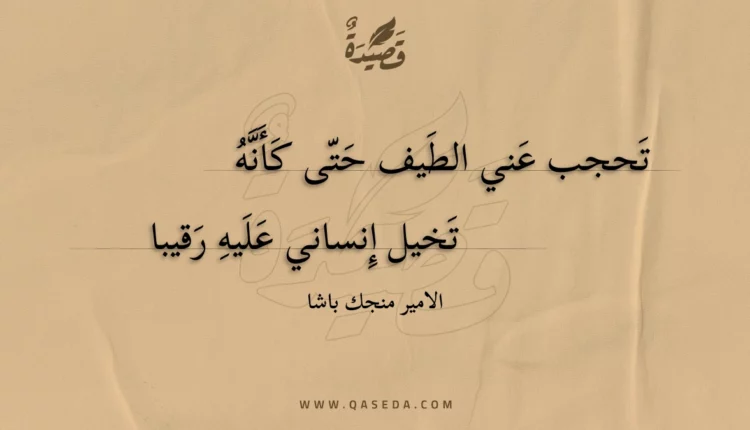 قصيدة تحجب عني الطيف حتى كأنه
