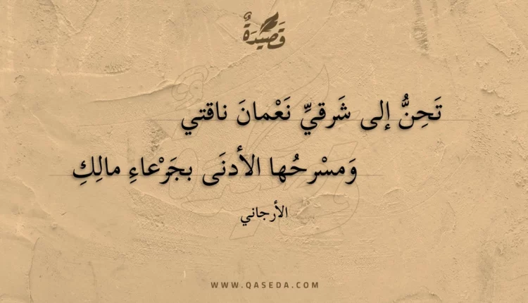 قصيدة تحن إلى شرقي نعمان ناقتي