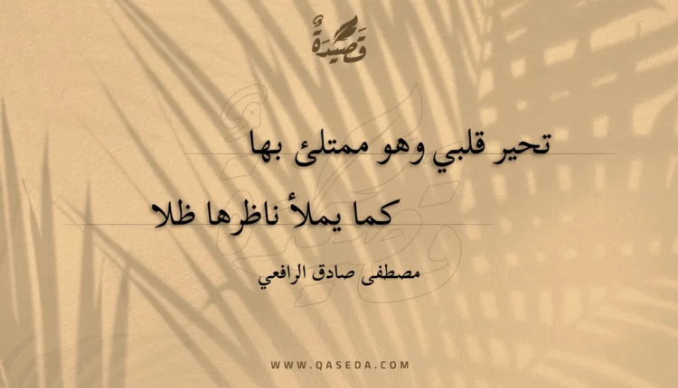 قصيدة تحير قلبي وهو ممتلئ بها