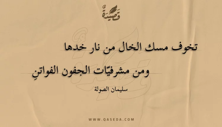 قصيدة تخوف مسك الخال من نار خدها