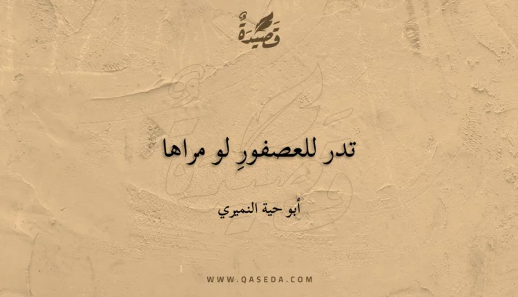 قصيدة تدر للعصفورِ لو مراها