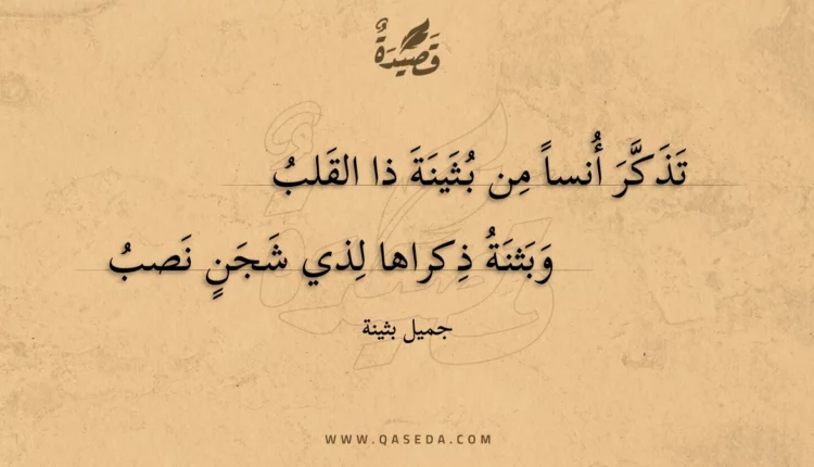 قصيدة تذكر أنسا من بثينة ذا القلب