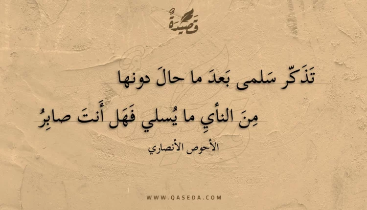 قصيدة تذكر سلمى بعد ما حال دونها