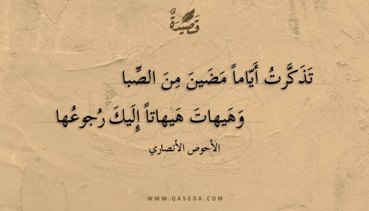 قصيدة تذكرت أياما مضين من الصبا