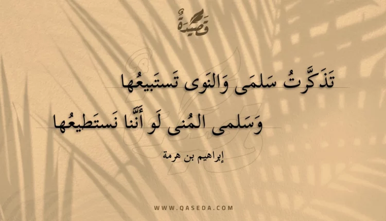 قصيدة تذكرت سلمى والنوى تستبيعها