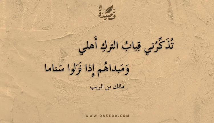 قصيدة تذكرني قباب الترك أهلي