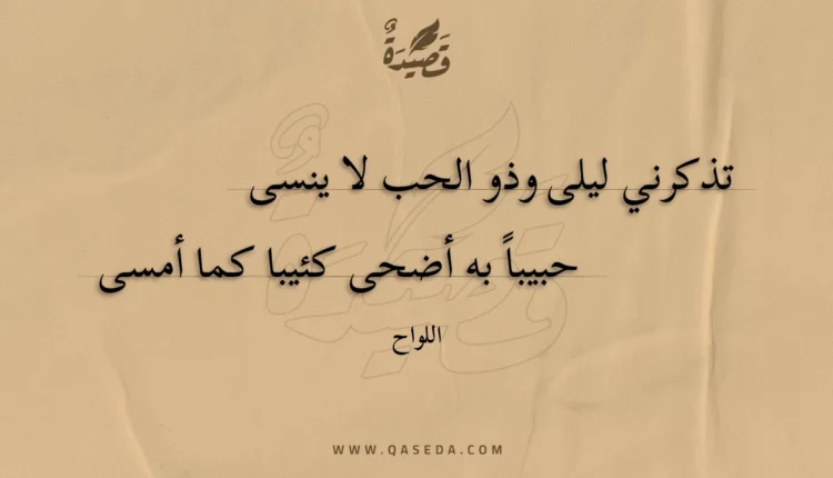قصيدة تذكرني ليلى وذو الحب لا ينسى