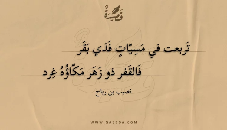قصيدة تربعت في مسيات فذي بقر