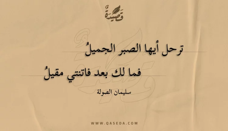قصيدة ترحل أيها الصبر الجميل