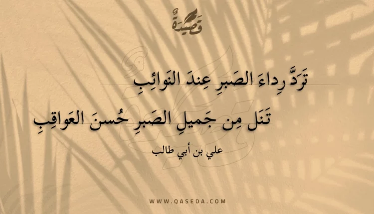 قصيدة ترد رداء الصبر عند النوائب