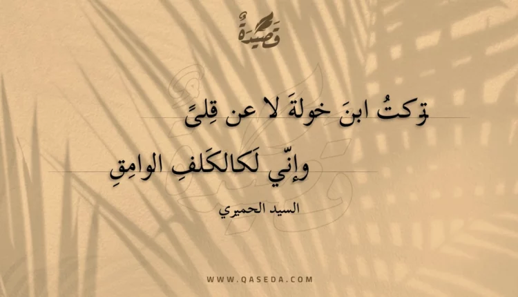 قصيدة تركت ابن خولة لا عن قلى