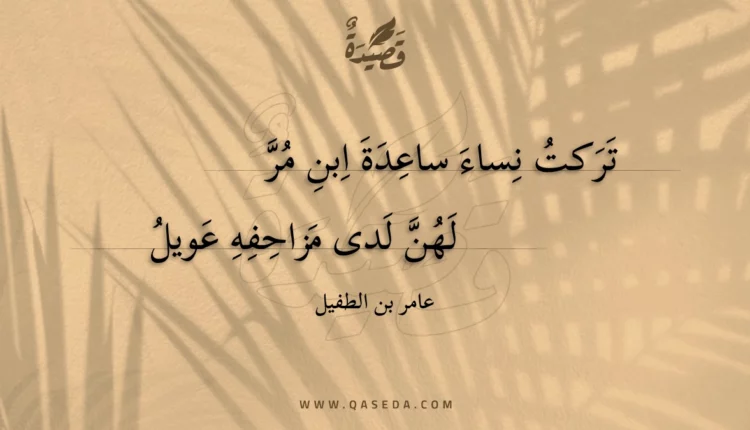 قصيدة تركت نساء ساعدة ابن مر