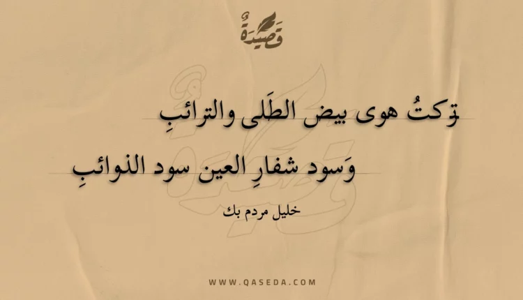 قصيدة تركت هوى بيض الطلى والترائب