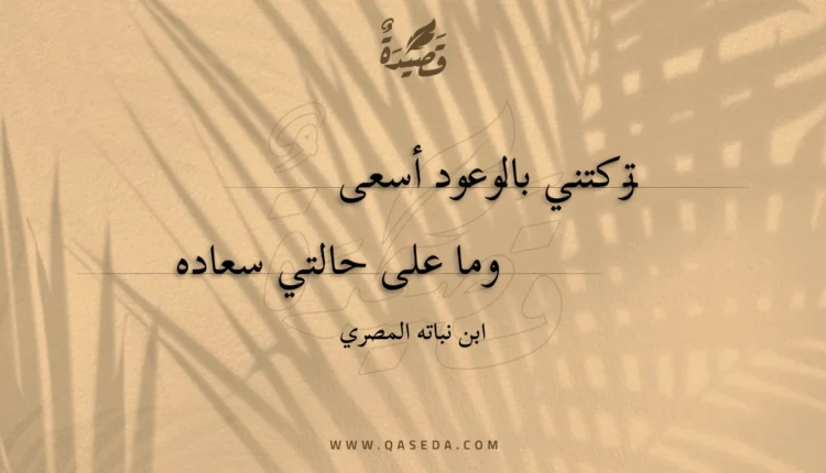 قصيدة تركتني بالوعود أسعى
