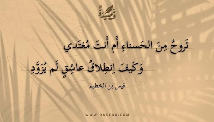 قصيدة تروح من الحسناء أم أنت مغتدي