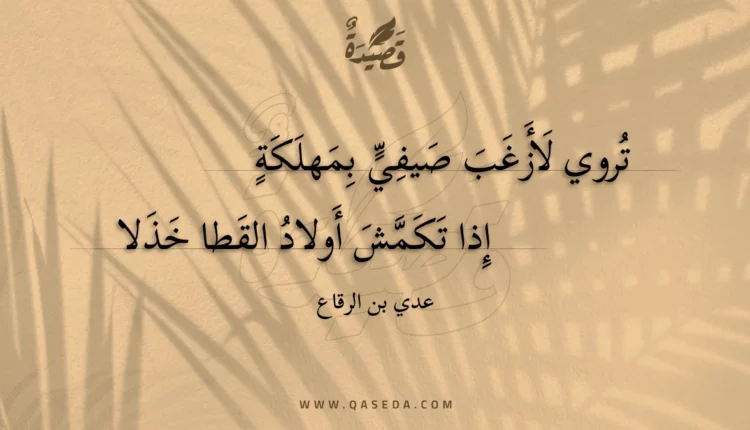 قصيدة تروي لأزغب صيفي بمهلكة