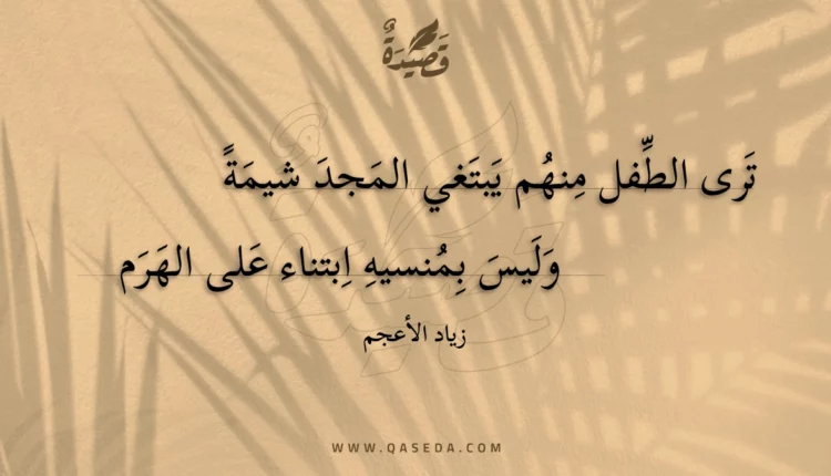قصيدة ترى الطفل منهم يبتغي المجد شيمة