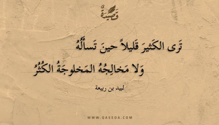 قصيدة ترى الكثير قليلا حين تسأله