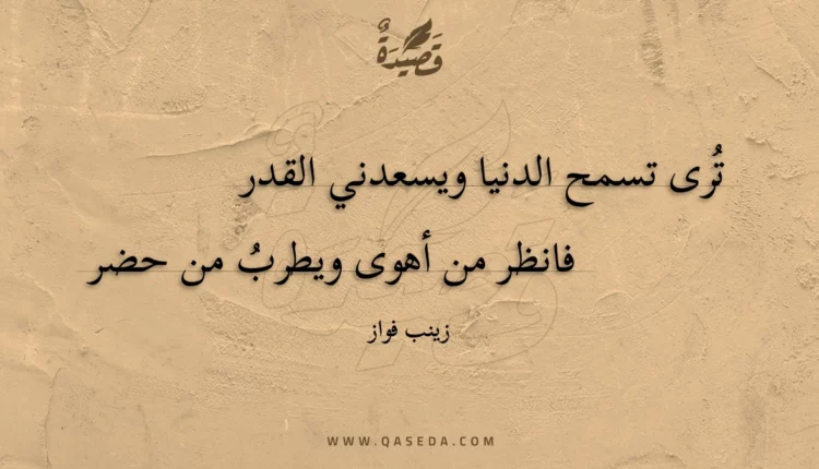 قصيدة ترى تسمح الدنيا ويسعدني القدر