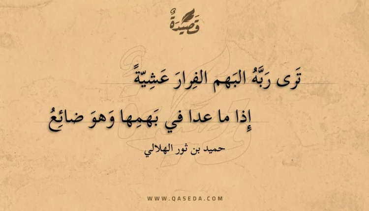 قصيدة ترى ربه البهم الفرار عشية
