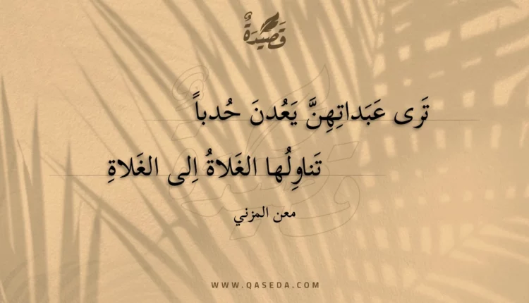 قصيدة ترى عبداتهن يعدن حدبا