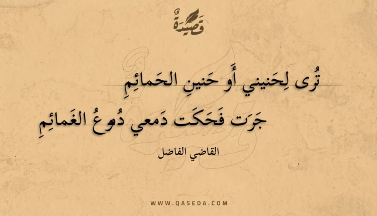 قصيدة ترى لحنيني أو حنين الحمائم