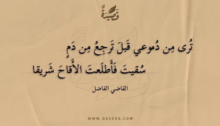 قصيدة ترى من دموعي قبل ترجع من دم
