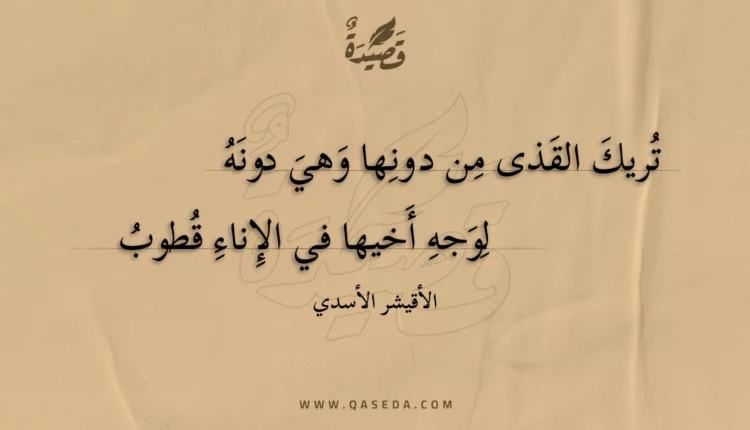 قصيدة تريك القذى من دونها وهي دونه