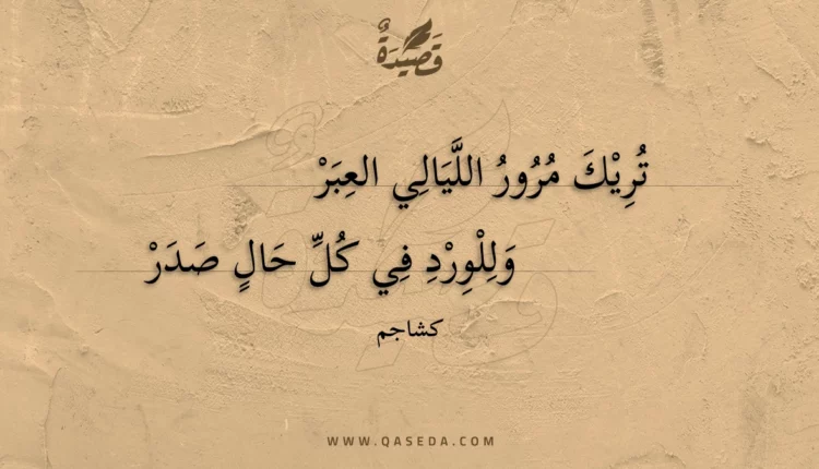 قصيدة تريك مرور الليالي العبر