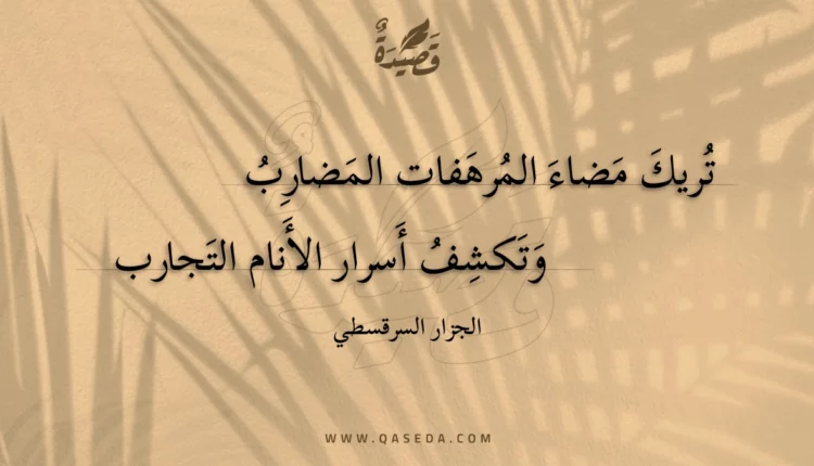 قصيدة تريك مضاء المرهفات المضارب