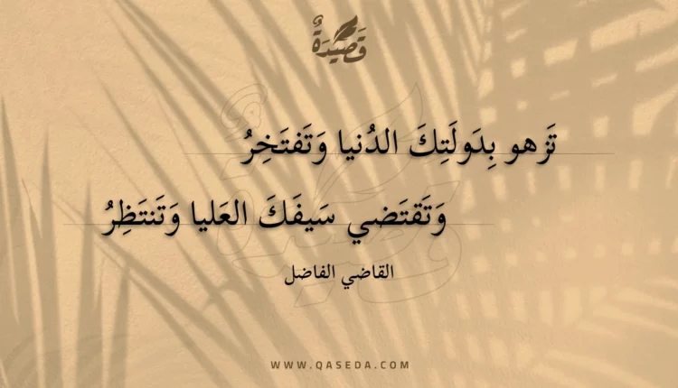 قصيدة تزهو بدولتك الدنيا وتفتخر