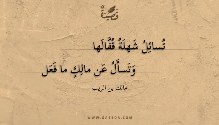 قصيدة تسائل شهلة قفالها