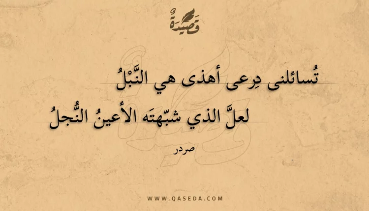 قصيدة تسائلنى درعى أهذى هي النبل