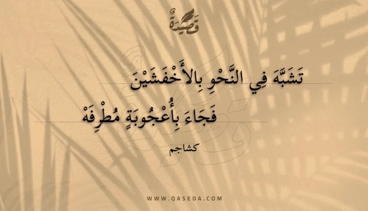 قصيدة تشبه في النحو بالأخفشين