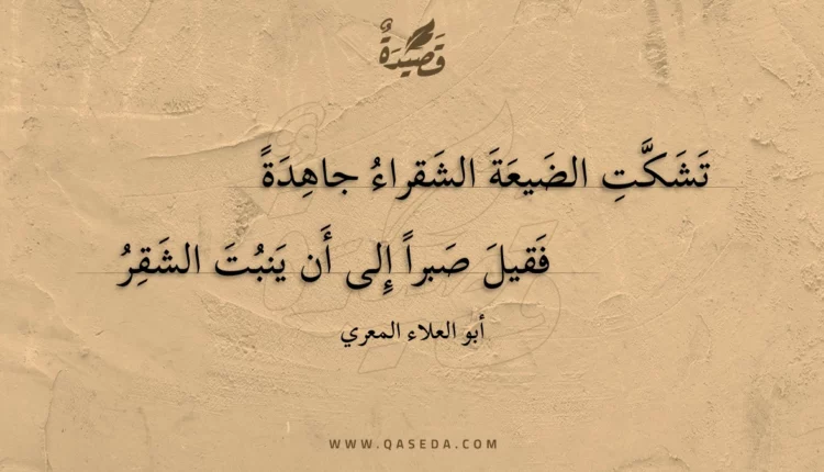 قصيدة تشكت الضيعة الشقراء جاهدة