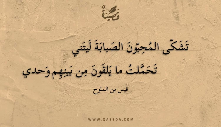 قصيدة تشكى المحبون الصبابة ليتني