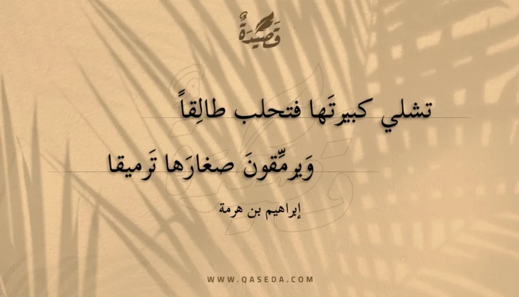 قصيدة تشلي كبيرتها فتحلب طالقا