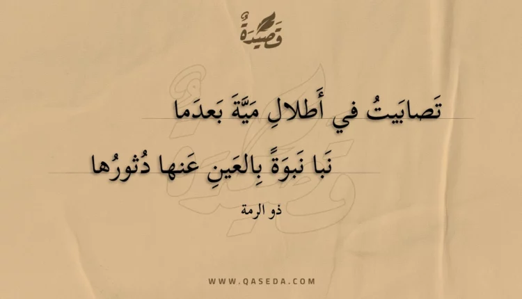 قصيدة تصابيت في أطلال مية بعدما