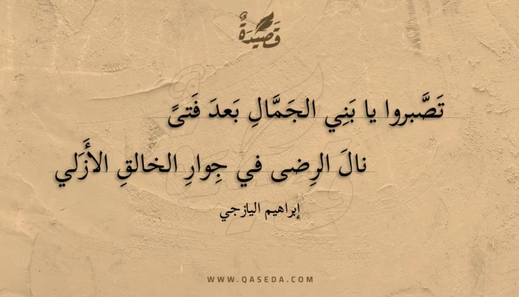 قصيدة تصبروا يا بني الجمال بعد فتى