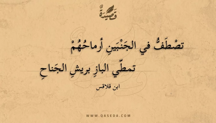 قصيدة تصطف في الجنبين أرماحهم