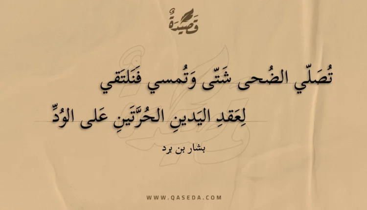 قصيدة تصلي الضحى شتى وتمسي فنلتقي