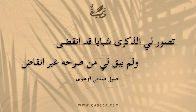 قصيدة تصور لي الذكرى شبابا قد انقضى