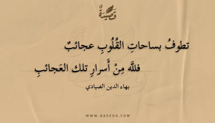 قصيدة تطوف بساحات القلوب عجائب