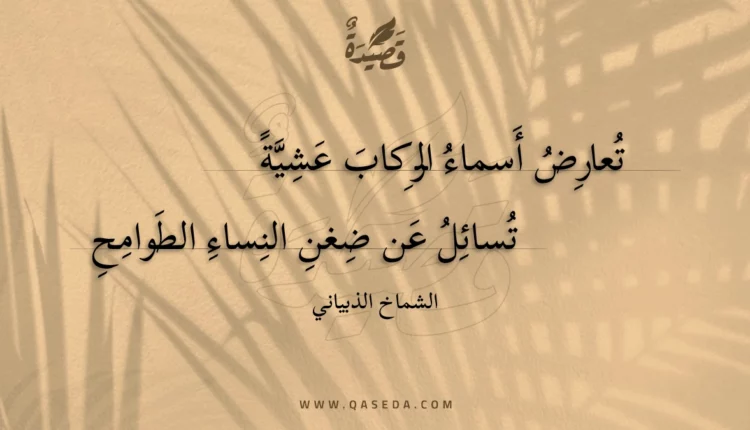 قصيدة تعارض أسماء الركاب عشية