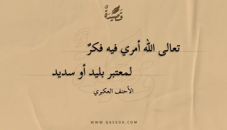 قصيدة تعالى الله أمري فيه فكر