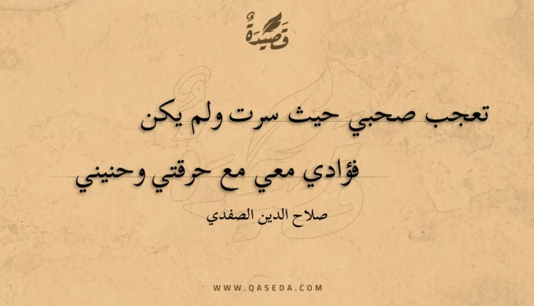 قصيدة تعجب صحبي حيث سرت ولم يكن