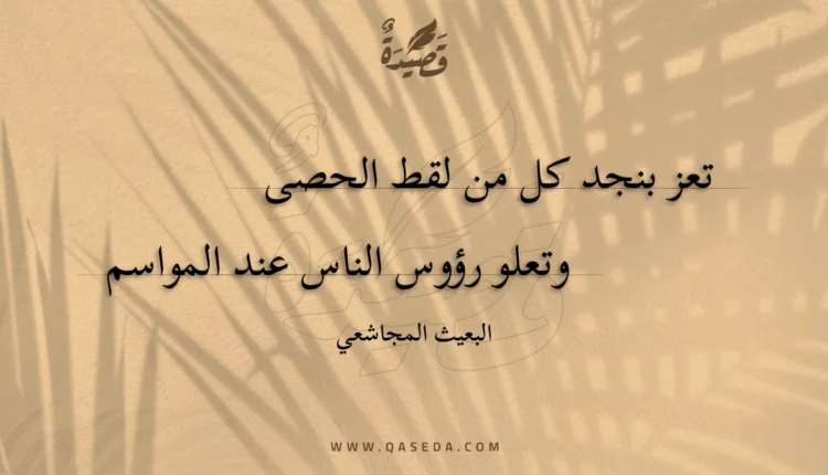 قصيدة تعز بنجد كل من لقط الحصى