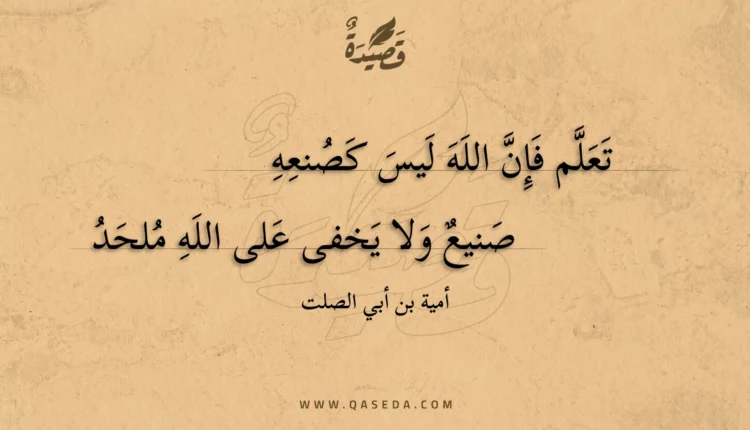 قصيدة تعلم فإن الله ليس كصنعه